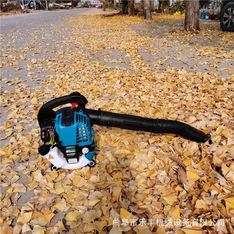 汽路面尘吹吹雪机 油动力背LOZ式吹风负机 二冲程手提式吹风机,农机/农具/农膜,林业机械,淘宝优惠券,粉丝福利购,淘宝优惠卷