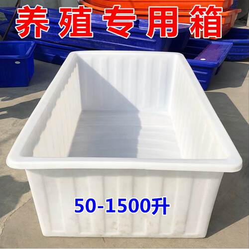 加厚牛筋塑料水箱大号水产养殖箱养龟箱养鱼箱纺织运输周转收纳箱