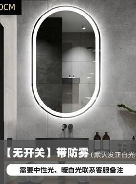 椭圆形挂墙智浴室镜卫生间店带能灯LE879D触梳摸屏除雾感酒应灯妆