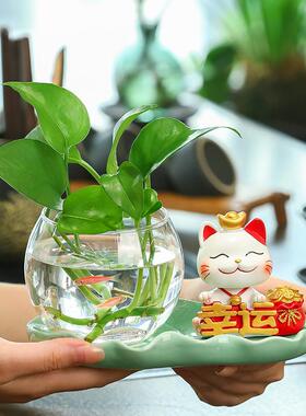 家居招财猫水培办公桌装饰现代风绿萝养殖花瓶书房玻璃花器摆件新