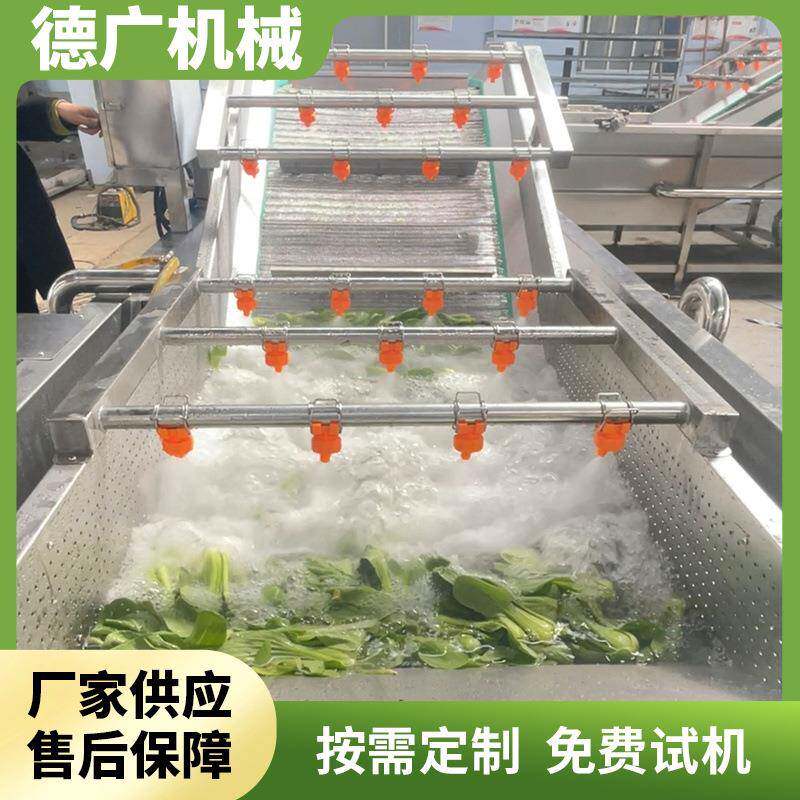 小白菜高压喷淋式清洗设备草莓气泡清洗机冬枣杨梅式蔬果