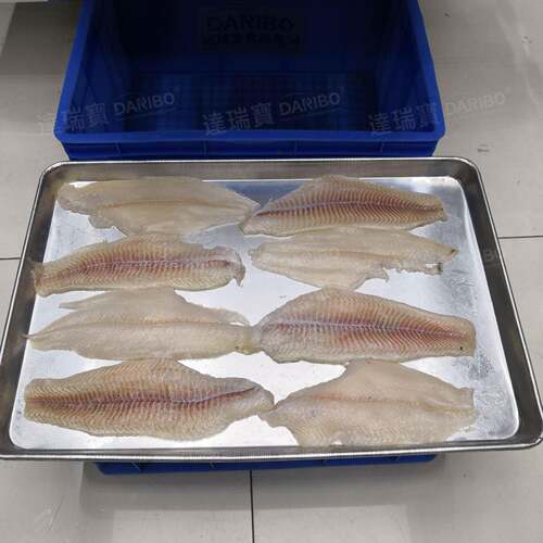W 广东厂家直供平剖机 大型屠宰场肉类加工平剖机 大块肉平切机