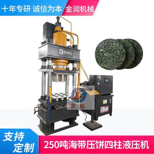 金润销售木耳压饼成型机海带压饼机250吨四柱液压机伺服压力机