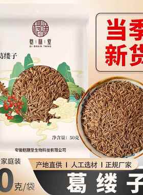 葛缕子50克袋装 藏茴香籽革括楼绥孑食用香料调料Caraway seeds