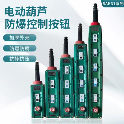 适用电动吊车防爆手柄开 关BAK21BAK31 BAK41防爆控制按钮防爆遥