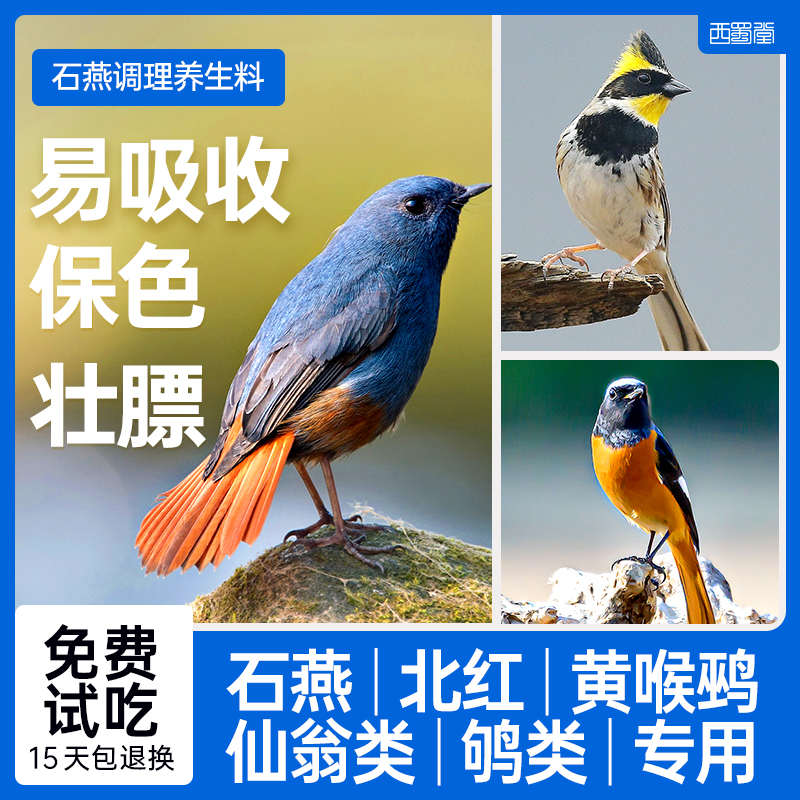 西蜀堂石燕红尾水鵙鸟食虎头凤北红饲料仙翁嗜虫鸟保色亮羽养生料