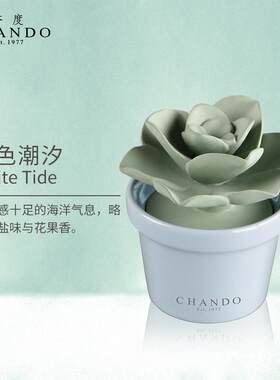 高档香度多肉陶瓷无香薰 室内持久家用淡香熏火香精油摆感 高级礼