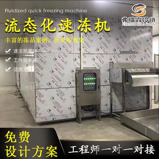 流态化水果速冻机石榴籽蓝莓流态化速冻机黄花菜苹果片速冻设备