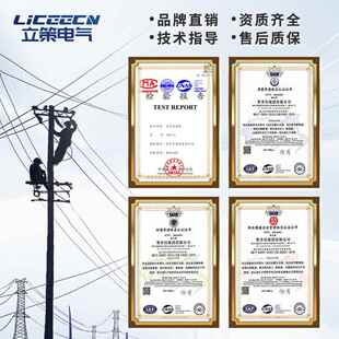 21动1动力动柜低压力电箱家户外防雨室内外配通用厂直销 2XL