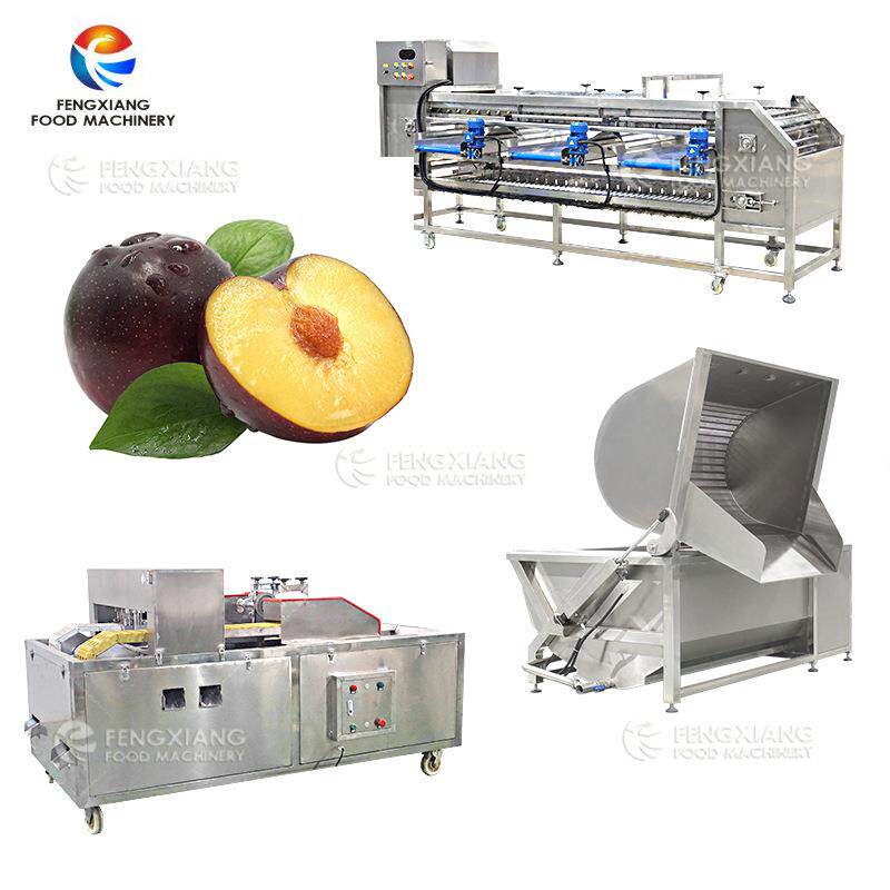 高产量水果加工整套设备果蔬去核机清洗机分级机
