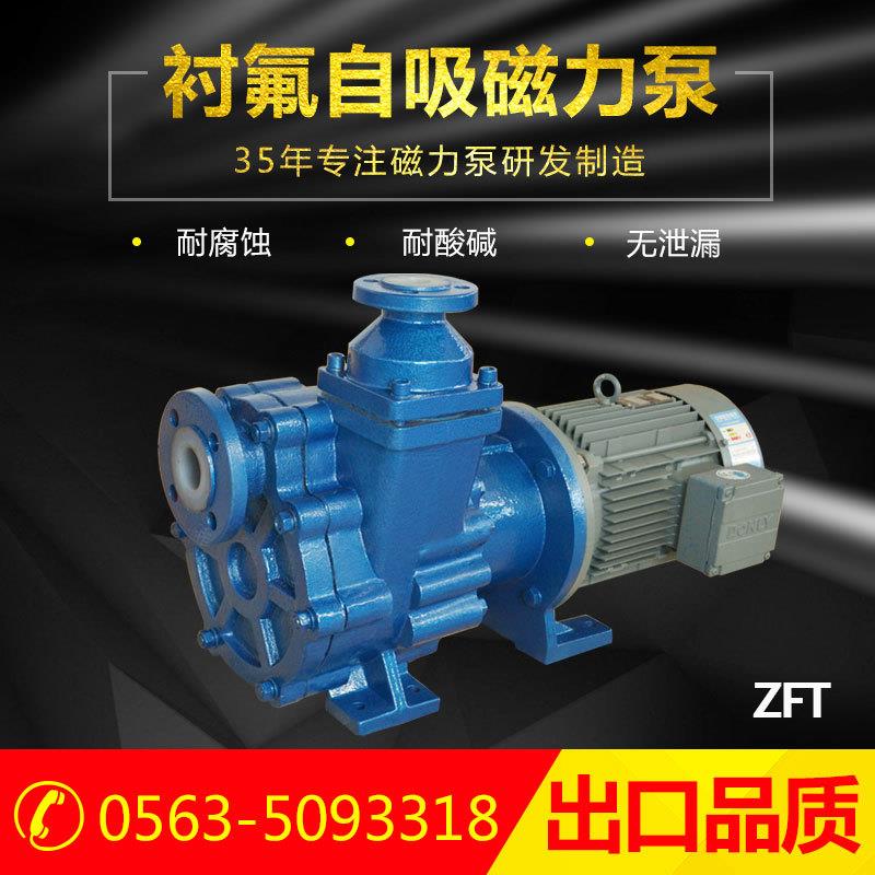50ZFT-20F自吸磁力泵化工磁力泵卧式自吸泵氟塑料磁力泵