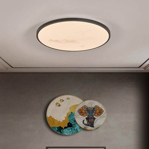 新中式吸顶灯现代简约中国风led温馨圆形大气家用饭厅阳台卧室灯