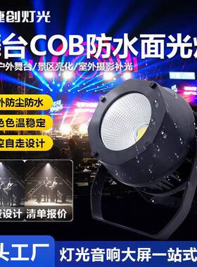 捷创新款cob防水200W面光灯全彩帕灯户外演出婚礼led补光灯