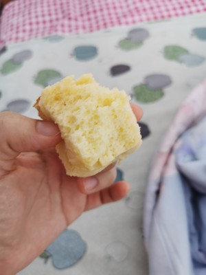 来说说:樱欧厨师机怎么样?听说杂音大了点是真假呢?