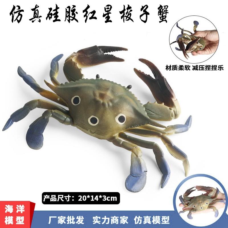 儿童玩具软胶螃蟹仿真硅胶鱿鱼章鱼减压河豚玩具柔软模型海洋动物