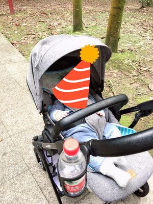 荷兰justyes婴儿推车怎么样，大佬分析透露销得火爆缘由？