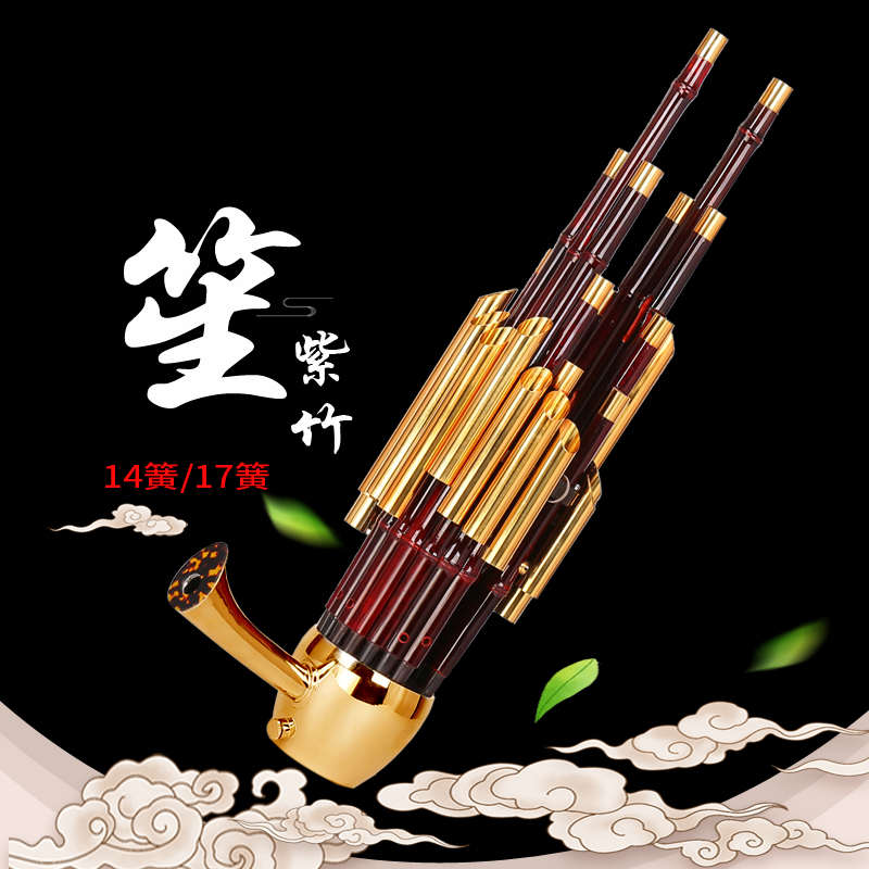 王家彪笙乐器专业14簧17簧21簧初学者紫竹圆方笙入门扩音演奏