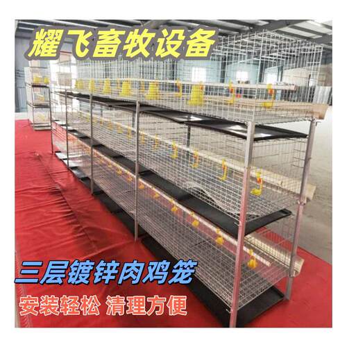 立式弹簧门粪盘肉鸡笼镀锌丝鸡笼养鸡场鸡舍养殖鸡笼三层两门鸡笼