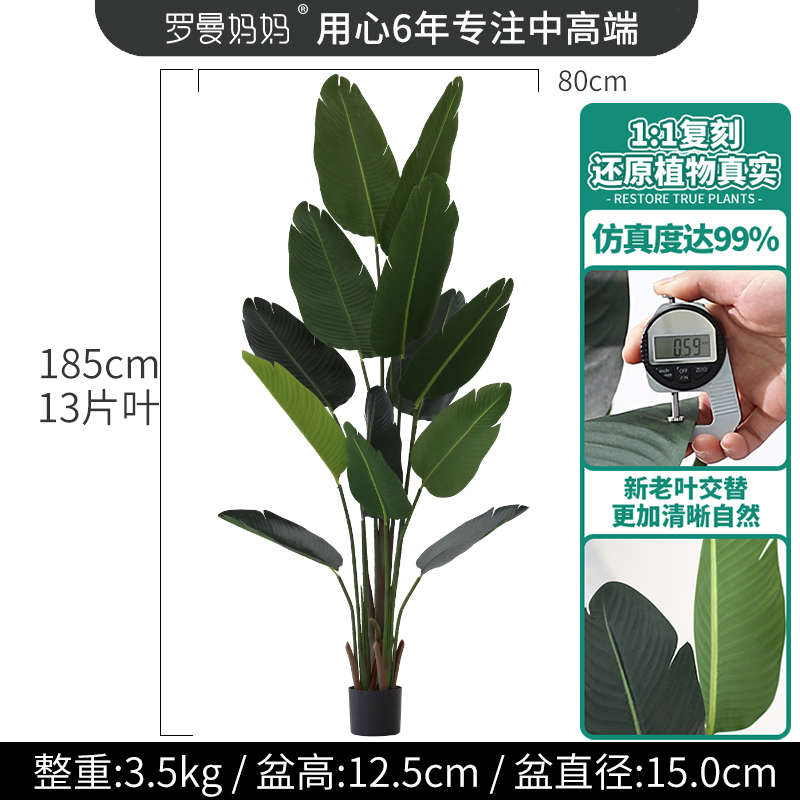 旅人植物盆栽装饰客厅代发假北欧盆景植蕉落地摆件大型绿龟背竹