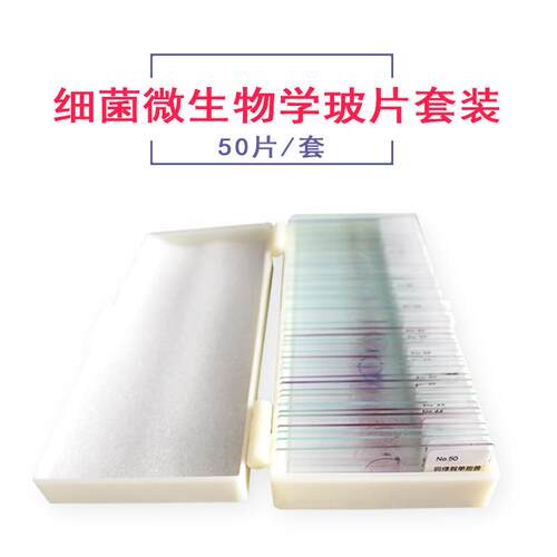 红叶教仪高教标准细菌微生物切片50种典型细菌微生物套装出口品质