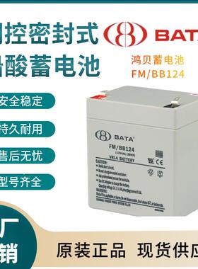 鸿贝蓄电池FM/BB12412V4AH联保电源备用电子设备三年