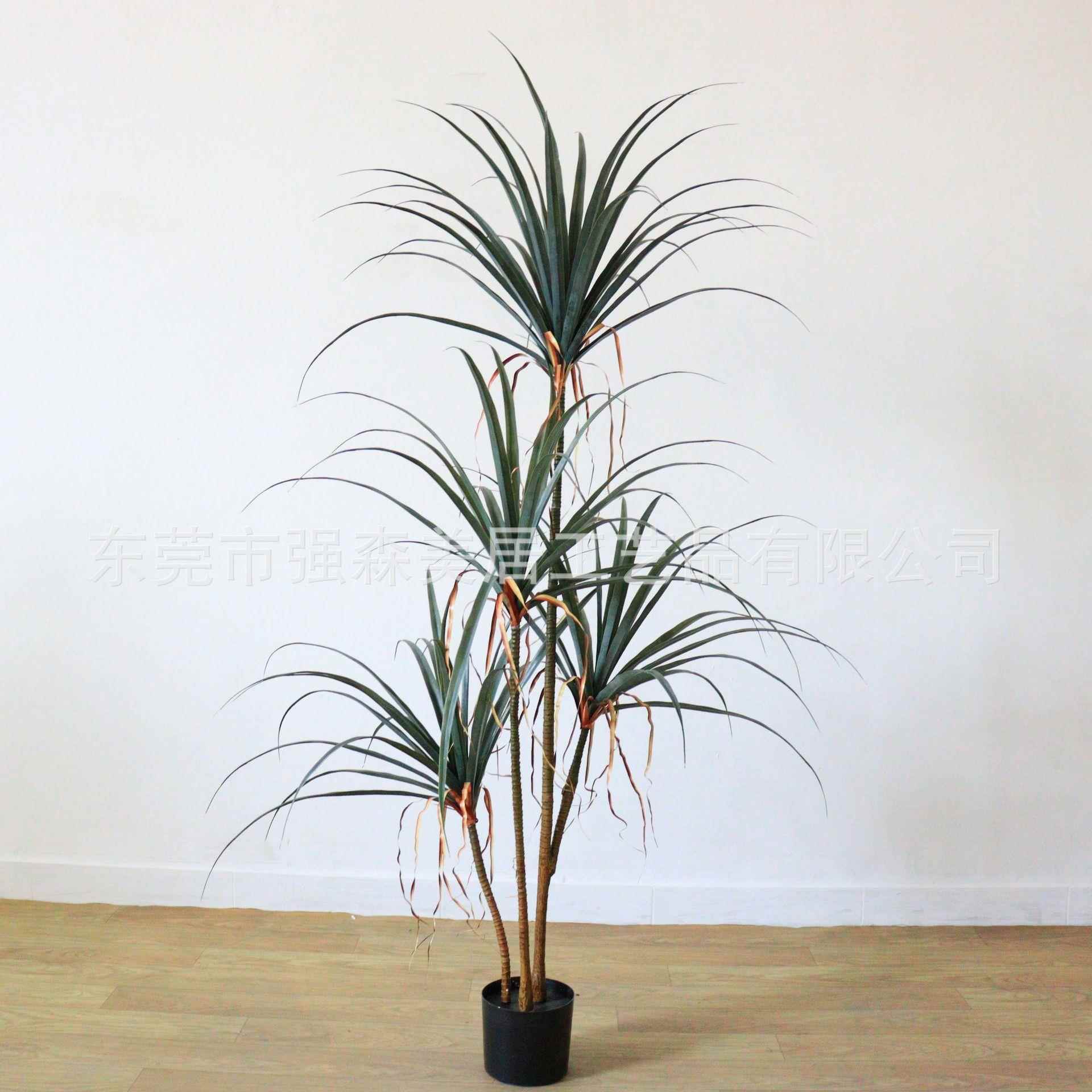仿MBC真植物年室龙铁树盆血栽内造景装饰摆放多杆千龙树盆景假树