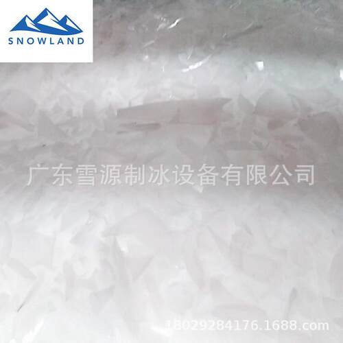 雪源10吨大容量食用方冰机不锈钢智能控制系统奶茶店专用