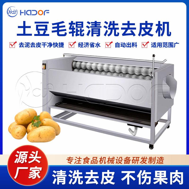 全自动土豆清洗去皮机毛辊洗土豆机红薯芋头根茎类果蔬清洗设备