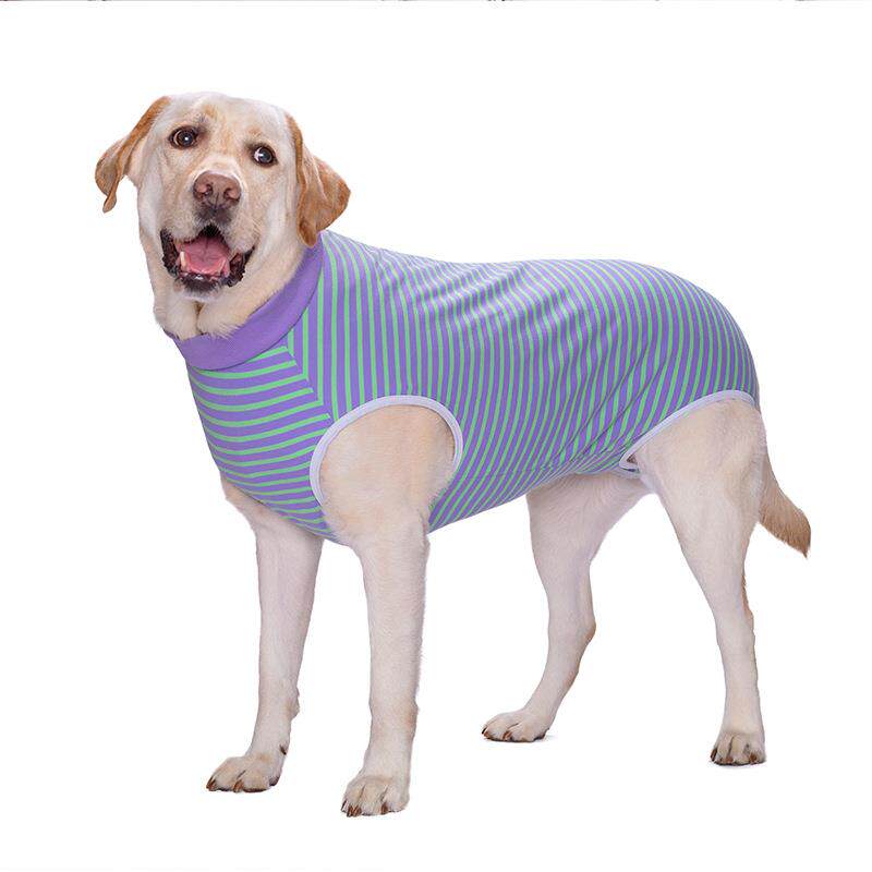 大狗衣服大型犬背心金毛护肚子包肚衣服纯棉背部拉链母狗断奶绝育