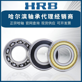 HRB哈尔滨轴承6200 6201 6202 6203 6204 6205 6206 6207 608