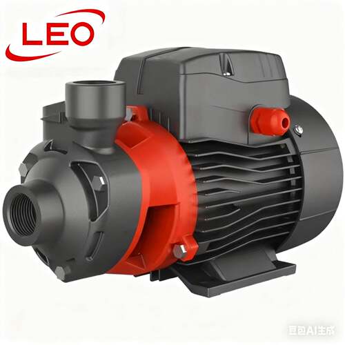LEO利欧水泵漩涡泵压泵Apm37Apm75hXQm60XQm70自吸家用压泵