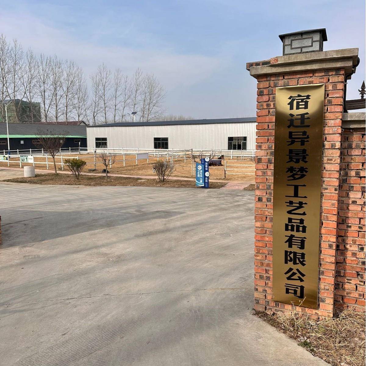 仿真地龟大型绿植物装饰客Y1020厅室内件背竹旅人蕉假树散尾葵落