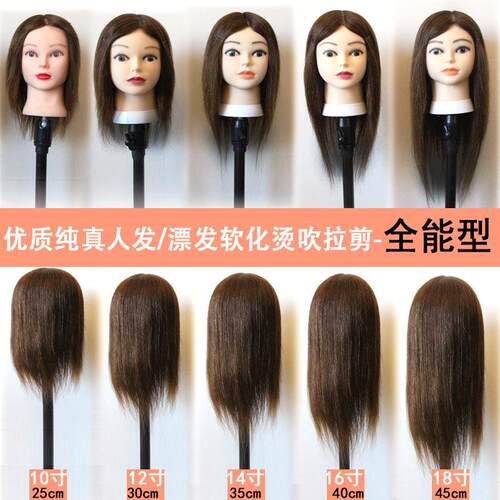 头模型真发全真人学徒美发头模型全真发假人头练习假发头模型人头