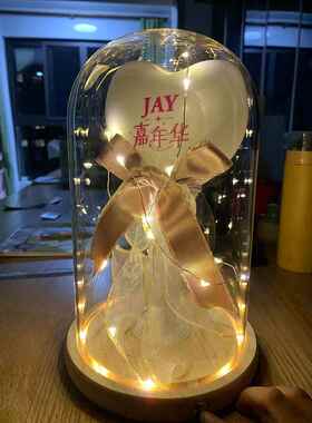 适用于周杰伦演唱会应援棒玻璃罩透明展示盒荧光棒收纳盒发光夜灯