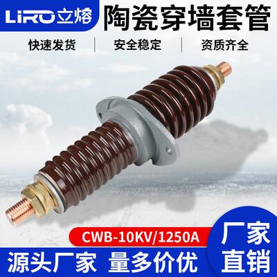 立熔CWC-CWB-10KV/1000A1250A户外12KV高压防污铜棒陶瓷穿墙套管