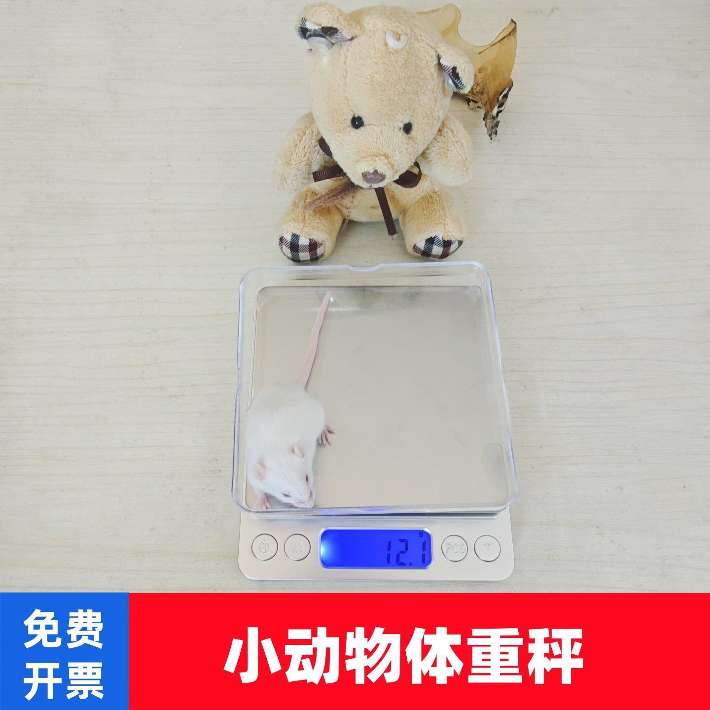 大小鼠体重秤小动物电子秤实验动物体重计高精度称量便携式促销