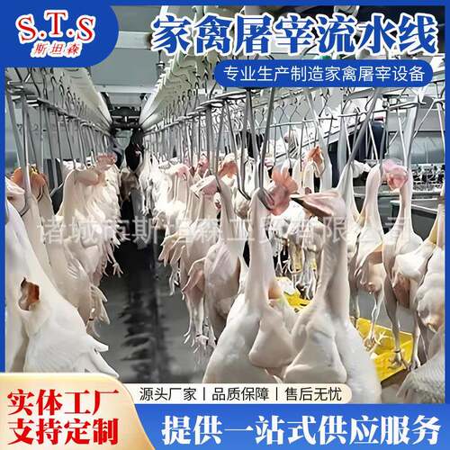 鸡鸭家禽屠宰流水线 家禽定点屠宰流水线设备 自动鸡屠宰设备价格