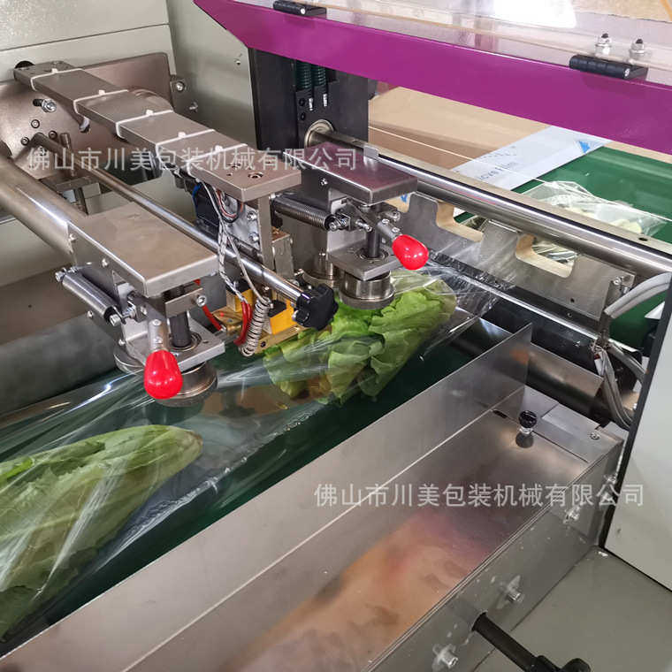 装机套袋玉米蔬菜式果蔬自动菜装机青瓜包机膜生鲜包卷枕娃娃