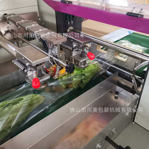 装机套袋玉米蔬菜式果蔬自动菜装机青瓜包机膜生鲜包卷枕娃娃