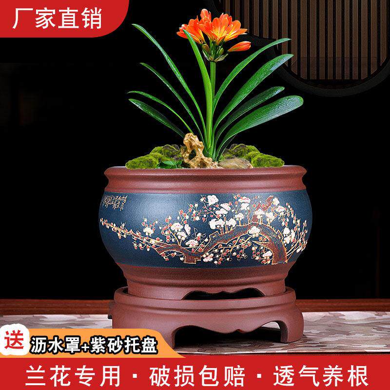 宜兴紫砂花盆高档精品陶瓷大口径带托盘圆形室内兰花花盆盆景盆