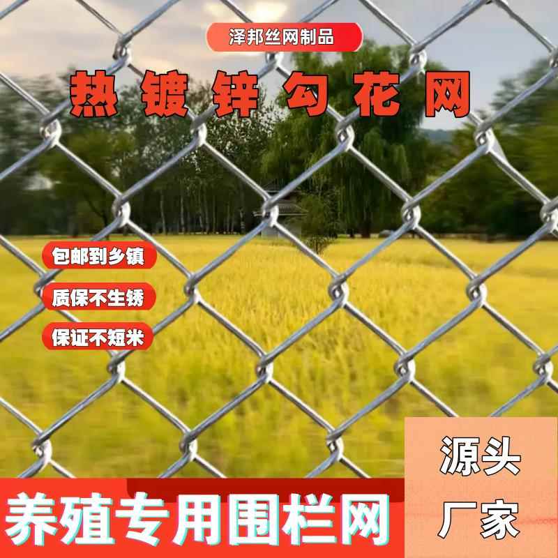 镀锌铁丝网勾花网围栏家用圈牛羊防护养殖网养鸡狗果园隔离护栏网