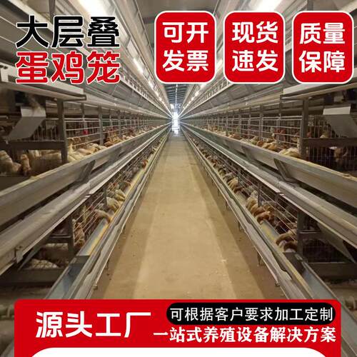 大层叠蛋鸡笼全自动养殖笼具三层四层热镀锌鸡笼养殖设备捡蛋设备