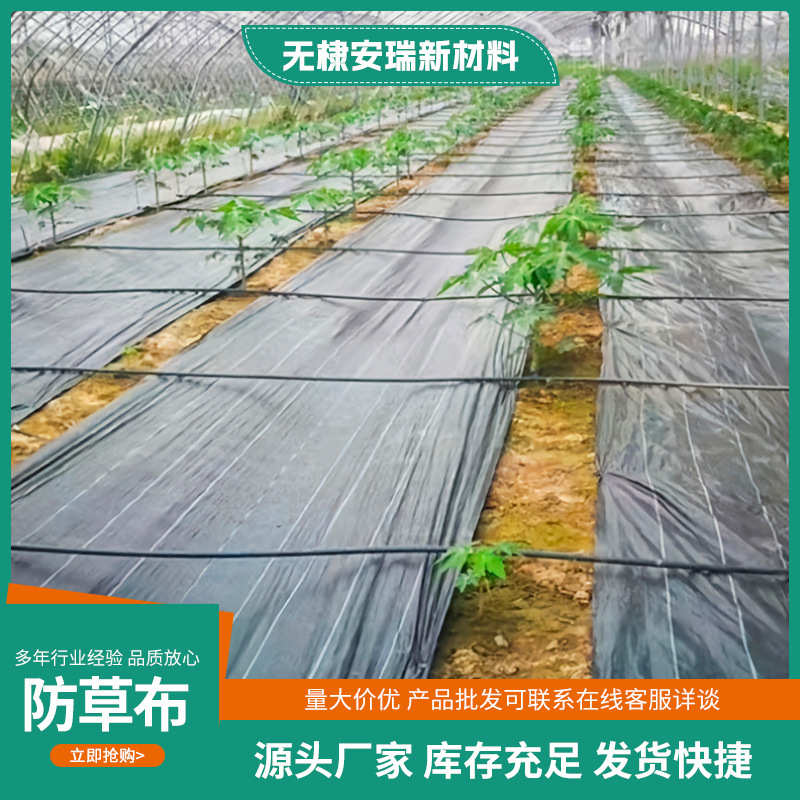农用PE全新园艺抑草除草地布大棚菜地果园 防草布