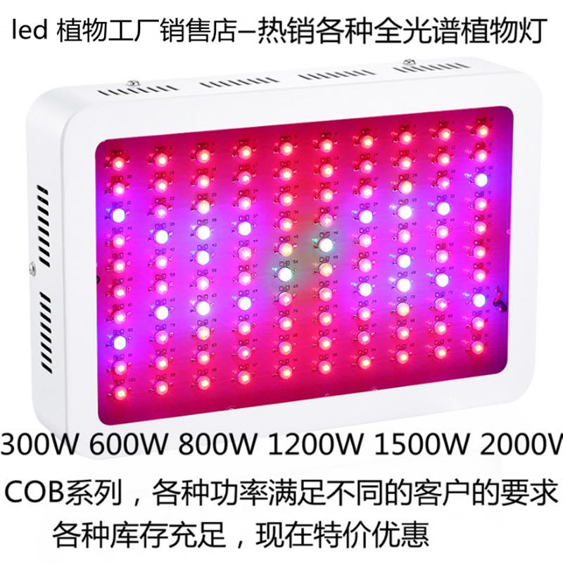双控定时1000W LED植物生长灯 食虫草花卉蔬菜育苗组培多肉补光灯
