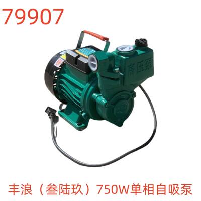 丰浪（叁陆玖）750W单相自吸泵-79907号