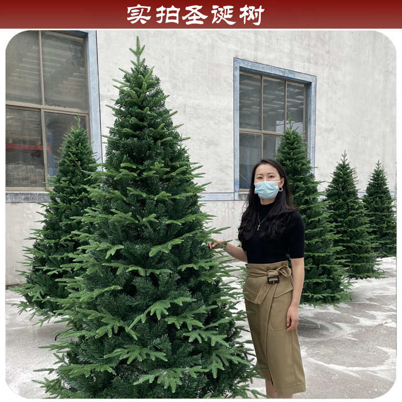 树加密pe仿真绿色仿真圣诞节圣诞树圣诞树+自动布置装饰圣诞树pvc