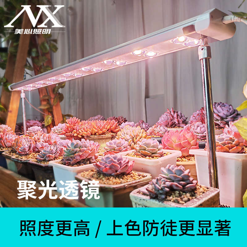 全光谱多肉专用补光灯led透镜仿太阳光照上色防徒室内植物生长灯