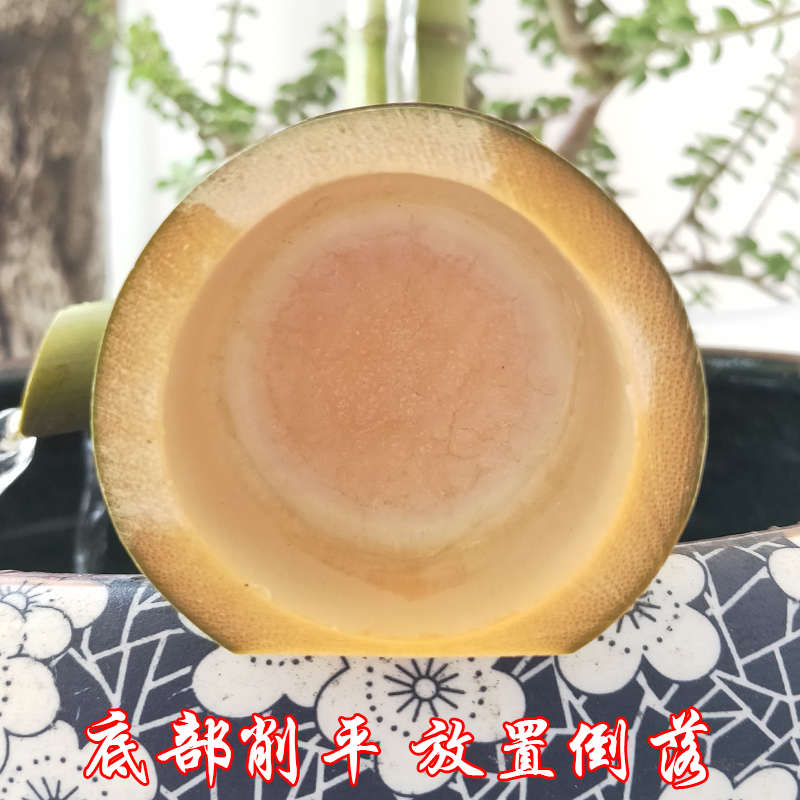 E款竹子流水器摆件 鱼缸过滤器增氧器竹子景观摆件石槽鱼池装饰