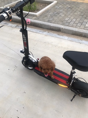 希洛普电动滑板车怎么样?老有人说被坑?真有这么不堪吗?