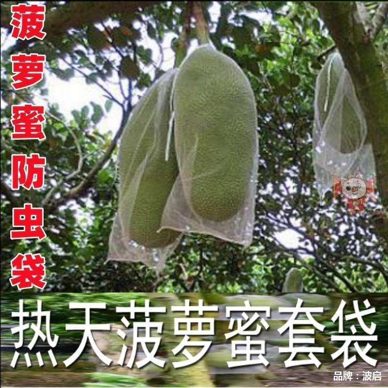 袋香蕉套袋袋模仿防虫透气木菠萝薄膜布袋套袋单蓝套袋菠萝蜜无孔